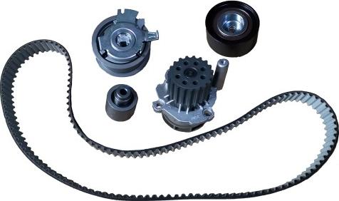 Bugiad BTB56505 - Water Pump & Timing Belt Set car-mod.net