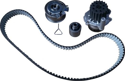 Bugiad BTB56502 - Water Pump & Timing Belt Set car-mod.net