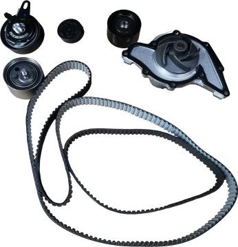 Bugiad BTB56513 - Water Pump & Timing Belt Set car-mod.net