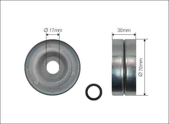 Caffaro 500362 - Pulley, v-ribbed belt car-mod.net