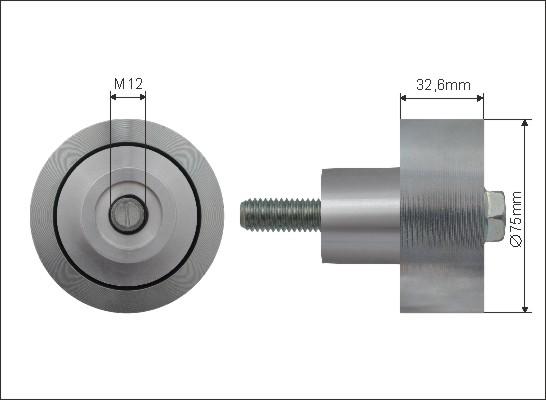 Caffaro 500546 - Pulley, v-ribbed belt car-mod.net