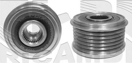Caliber 10869 - Pulley, alternator, freewheel clutch car-mod.net
