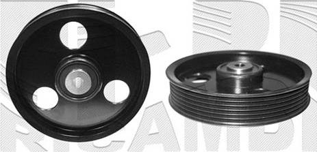 Caliber 10261 - Pulley, v-ribbed belt car-mod.net