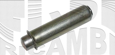 Caliber 89050 - Vibration Damper, timing belt car-mod.net