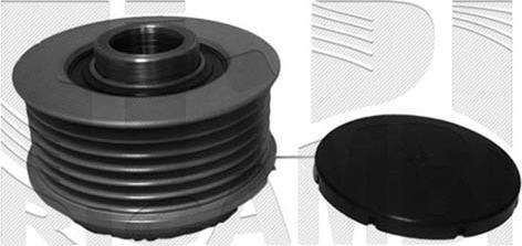 Caliber 20460 - Pulley, alternator, freewheel clutch car-mod.net