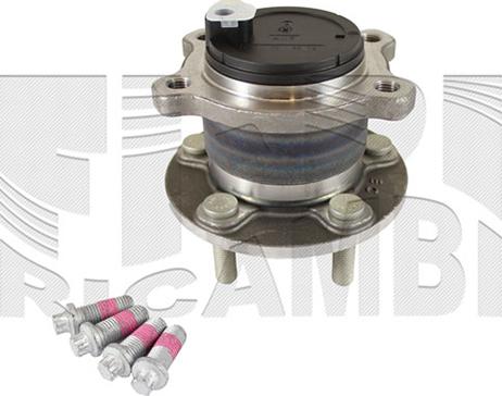 Caliber RC7920 - Bearing Kit, wheel hub car-mod.net