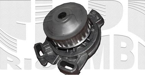 Caliber WPC491 - Water Pump car-mod.net