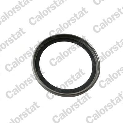 Calorstat by Vernet J239 - Gasket, thermostat car-mod.net