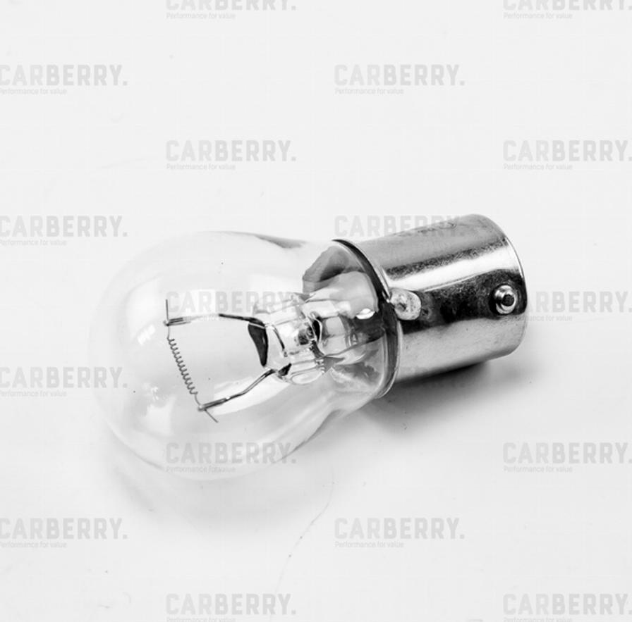 CARBERRY 32CA51 - Bulb, indicator car-mod.net