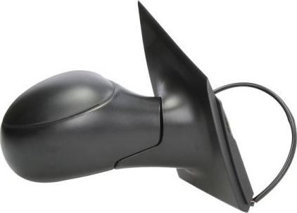 CARRO 014007503 - Outside Mirror car-mod.net