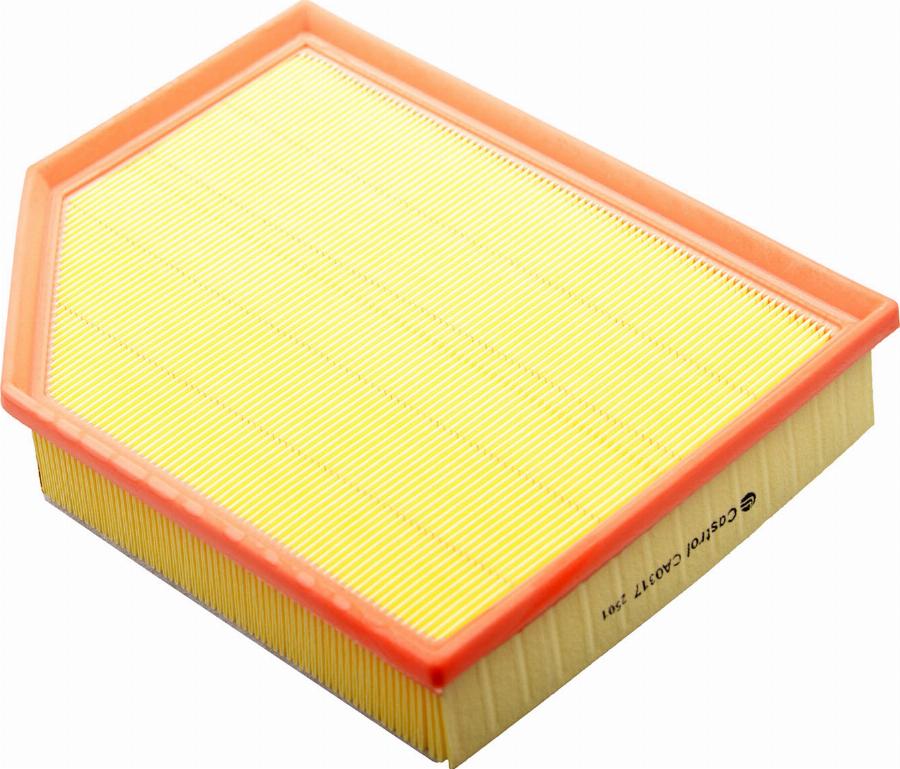 Castrol Filters CA0317 - Engine Air Filter car-mod.net