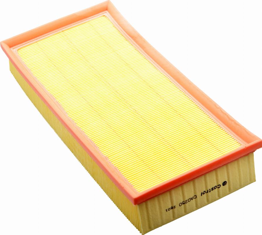 Castrol Filters CA0250 - Engine Air Filter car-mod.net