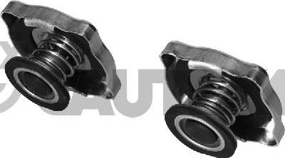 Cautex 954076 - Sealing Cap, radiator car-mod.net