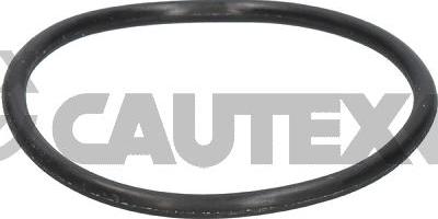 Cautex 952036 - Gasket, thermostat car-mod.net