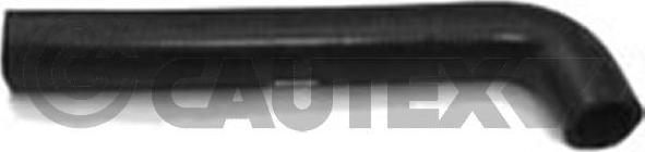 Cautex 466041 - Radiator Hose car-mod.net