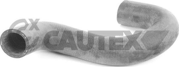 Cautex 466060 - Radiator Hose car-mod.net