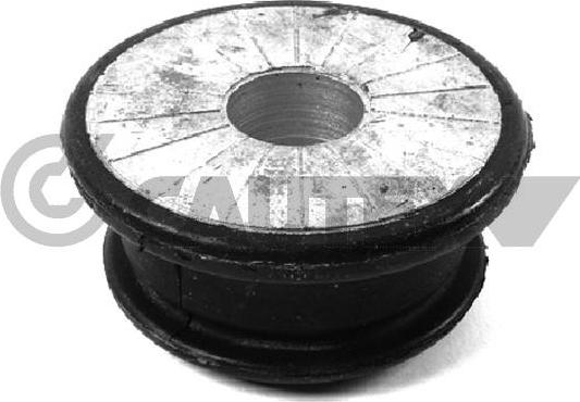 Cautex 460166 - Holder, engine mounting car-mod.net