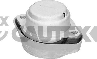 Cautex 461147 - Mounting, manual transmission car-mod.net