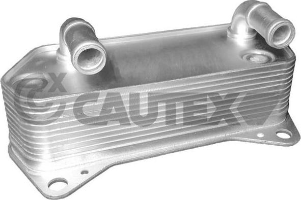 Cautex 462519 - Oil Cooler, engine oil car-mod.net