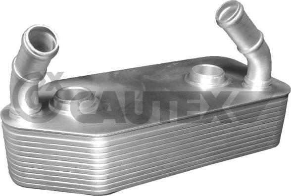 Cautex 462521 - Oil Cooler, engine oil car-mod.net