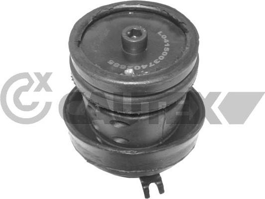 Cautex 010470 - Holder, engine mounting car-mod.net