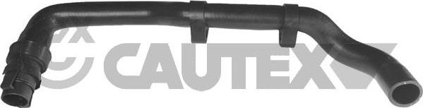 Cautex 036053 - Radiator Hose car-mod.net