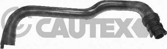 Cautex 036246 - Radiator Hose car-mod.net