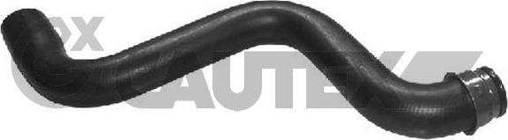 Cautex 031064 - Radiator Hose car-mod.net