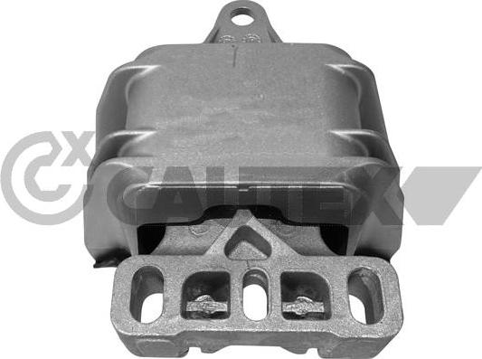 Cautex 759319 - Holder, engine mounting car-mod.net