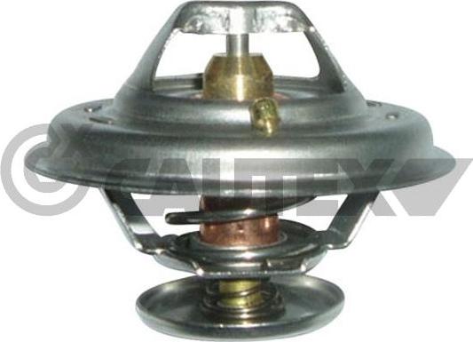 Cautex 756896 - Coolant thermostat / housing car-mod.net