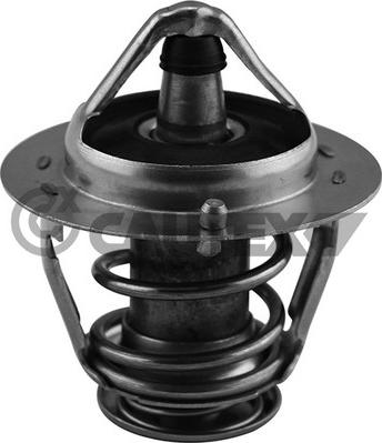 Cautex 756890 - Coolant thermostat / housing car-mod.net