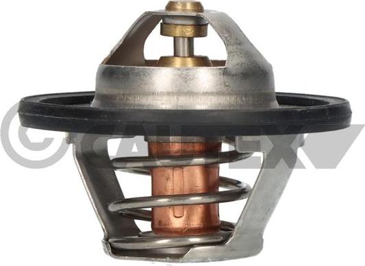 Cautex 756862 - Coolant thermostat / housing car-mod.net