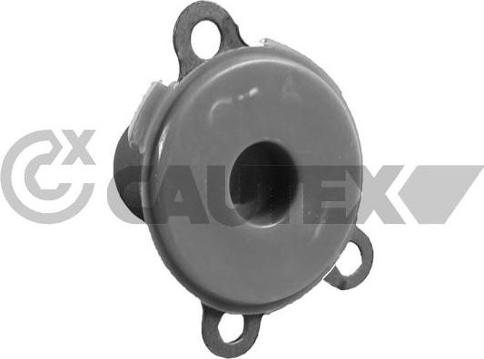 Cautex 758970 - Guide Tube, clutch car-mod.net