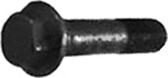 Cautex 757041 - Pulley Bolt car-mod.net