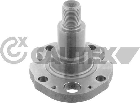 Cautex 769757 - Kingpin, axle beam car-mod.net