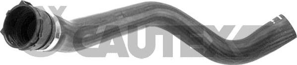 Cautex 766975 - Radiator Hose car-mod.net