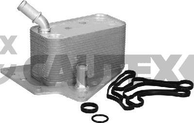 Cautex 768815 - Oil Cooler, engine oil car-mod.net