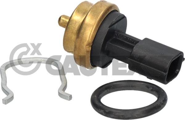 Cautex 770258 - Coolant temperature Sensor car-mod.net