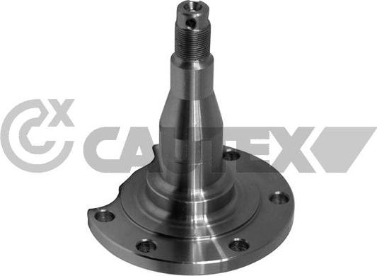 Cautex 771745 - Steering Knuckle, wheel suspension car-mod.net