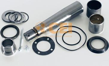 C.E.I. 198.385 - Repair Kit, kingpin car-mod.net