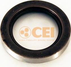 C.E.I. 139909 - Shaft Seal, manual transmission car-mod.net