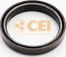 C.E.I. 139.483 - Shaft Seal, differential car-mod.net