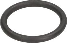 C.E.I. 239119 - Seal Ring car-mod.net