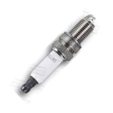 Champion RC 8YC - Spark Plug car-mod.net