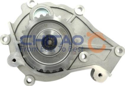 CHITAO CT11111 - Water Pump car-mod.net