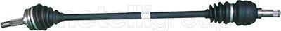 Cifam 655-624 - Drive Shaft car-mod.net