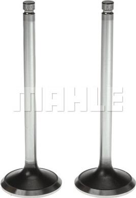 Clevite 211-3202 - Outlet valve car-mod.net