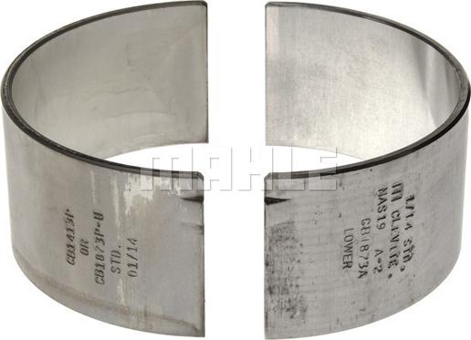 Clevite CB-1873AP-.50MM - Big End Bearings car-mod.net