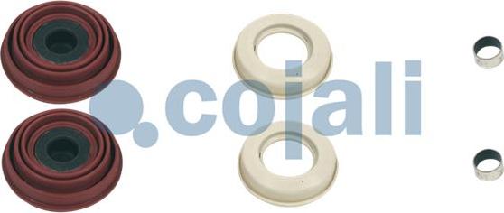 Cojali 6084001 - Repair Kit, brake caliper car-mod.net