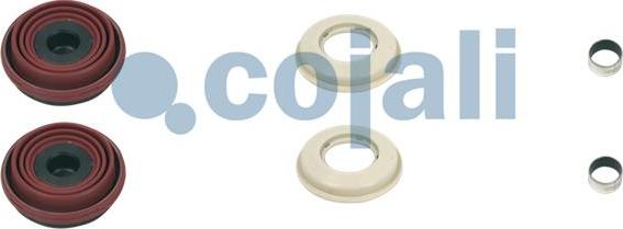 Cojali 6084002 - Repair Kit, brake caliper car-mod.net
